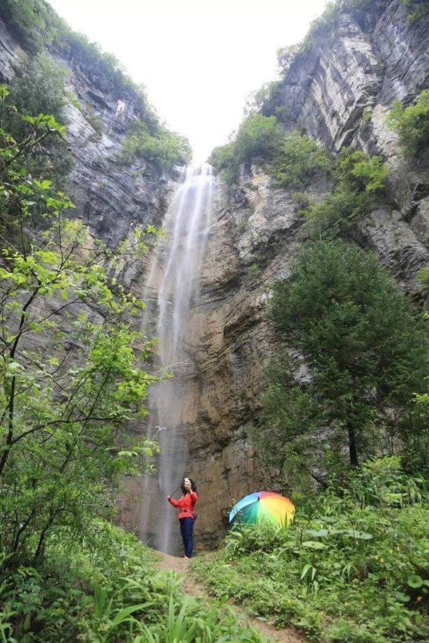 探索氟虫腈+虫螨蜻一起打高梁可以吗?,获取专业知识与互动交流